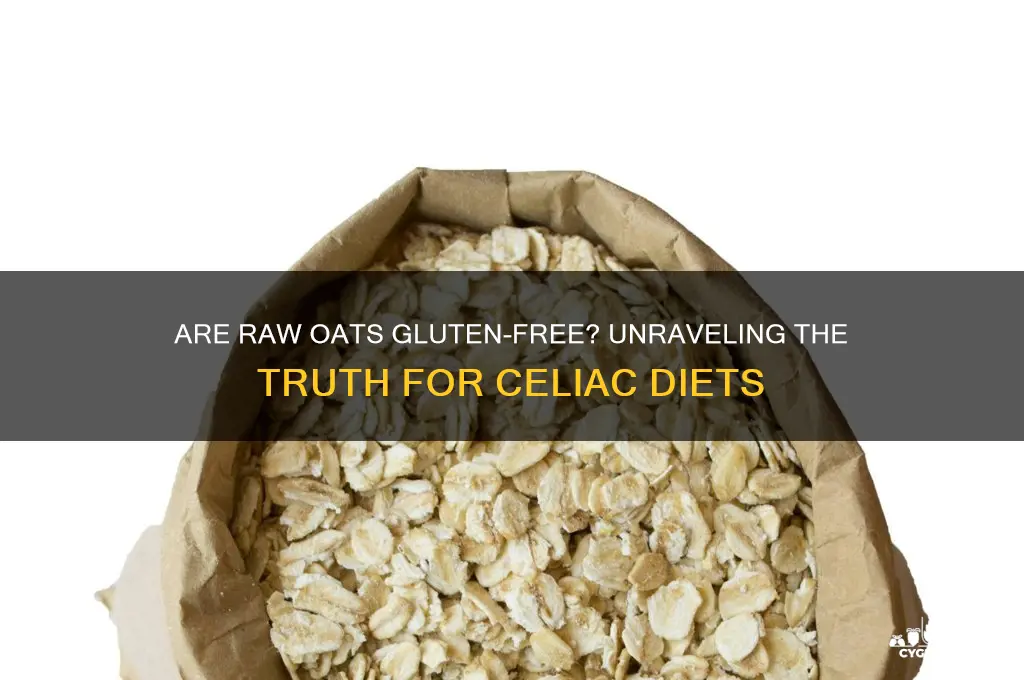 are raw oats gluten free