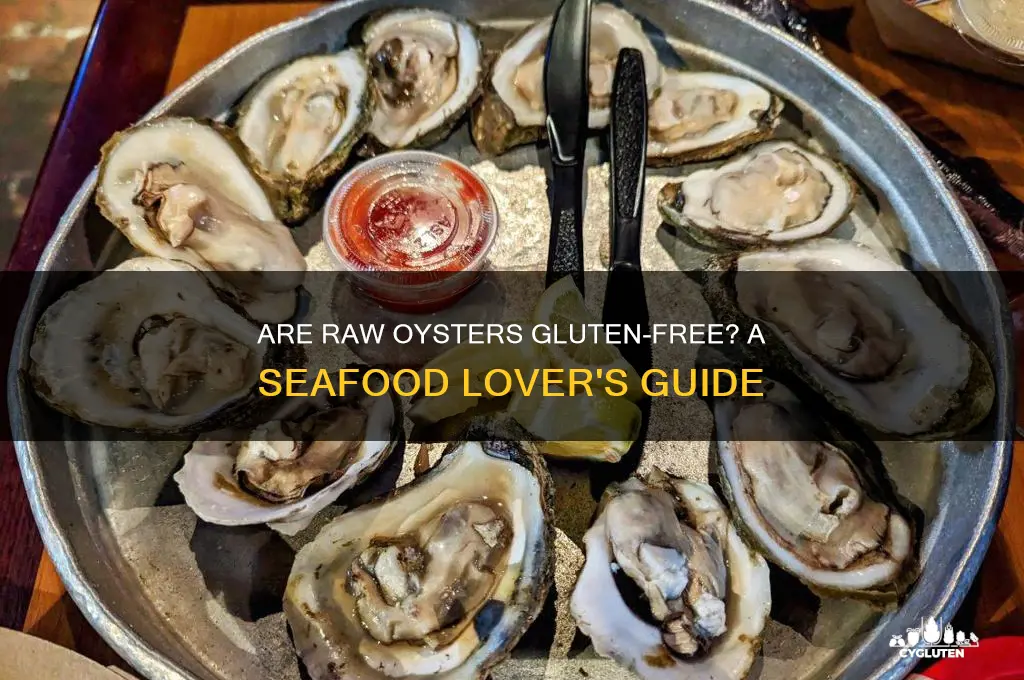 are raw oysters gluten free