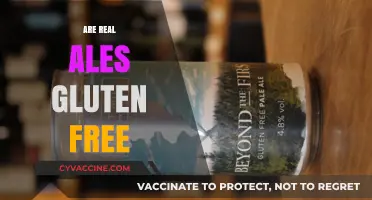 Are Real Ales Gluten-Free? Exploring the Truth for Beer Lovers