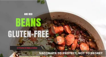 Are Red Beans Gluten-Free? A Complete Guide to Safe Eating