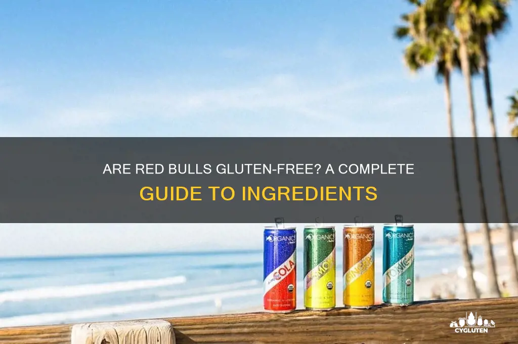 are red bulls gluten free