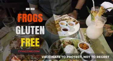 Are Red Frogs Gluten Free? A Sweet Treat Investigation