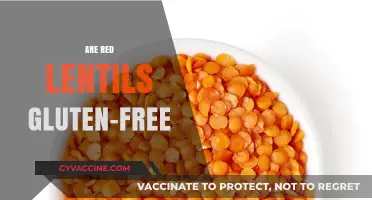Are Red Lentils Gluten-Free? A Clear Answer for Your Diet