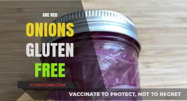 Are Red Onions Gluten-Free? A Clear and Simple Answer