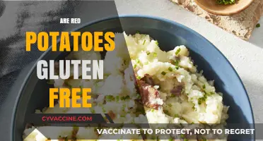 Are Red Potatoes Gluten-Free? A Complete Guide to Safe Eating
