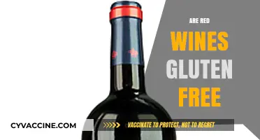 Is Red Wine Gluten-Free? A Guide for Wine Lovers