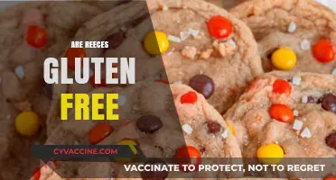 Are Reeces Gluten Free? A Comprehensive Guide for Snack Lovers