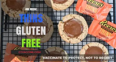 Are Reese's Thins Gluten-Free? A Tasty Treat Breakdown