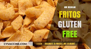 Are Regular Fritos Gluten-Free? A Crunchy Snack Fact Check