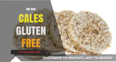 Are Rice Cakes Gluten Free? A Complete Guide for Celiacs