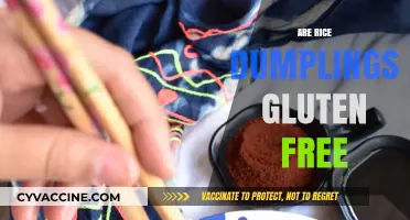Are Rice Dumplings Gluten-Free? A Complete Guide for Celiac Diets