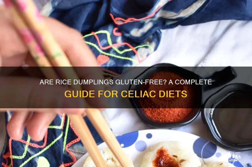are rice dumplings gluten free