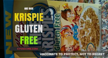 Are Rice Krispies Gluten-Free? A Complete Guide for Celiac Diets