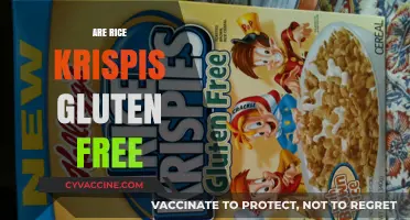 Are Rice Krispies Gluten-Free? A Clear Answer for Celiacs