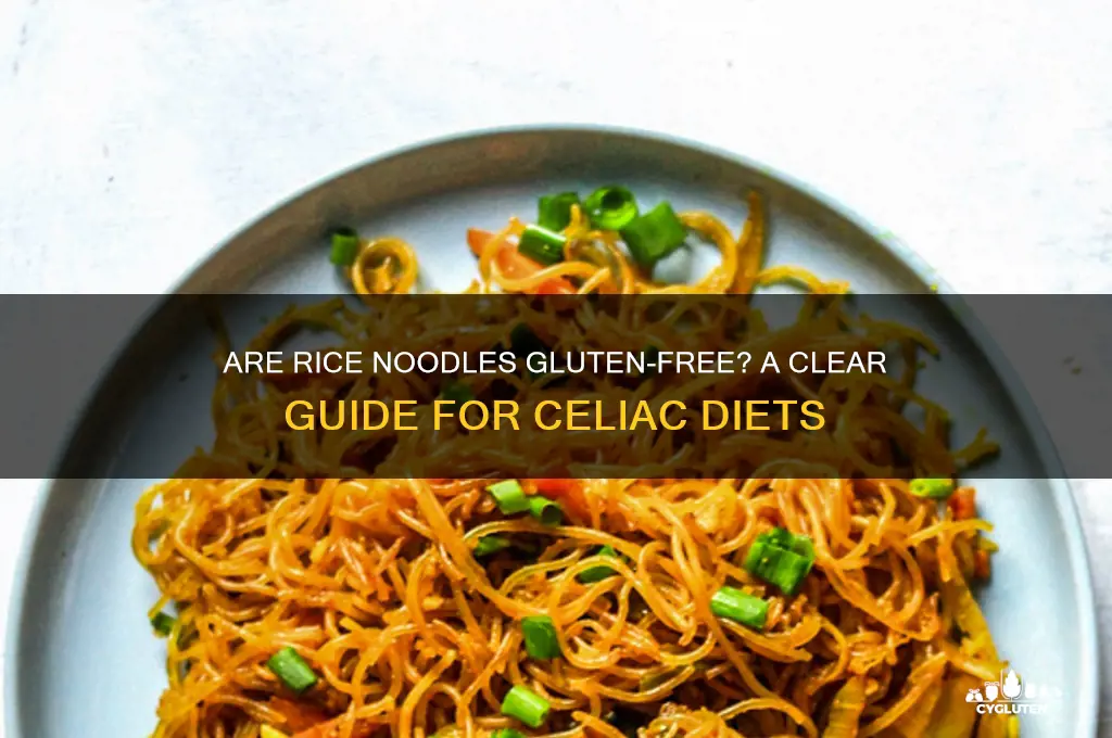 are rice noodles gluten-free