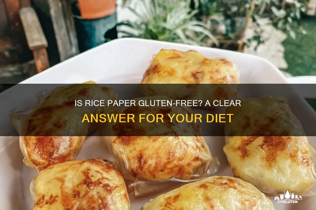 are rice paper gluten free