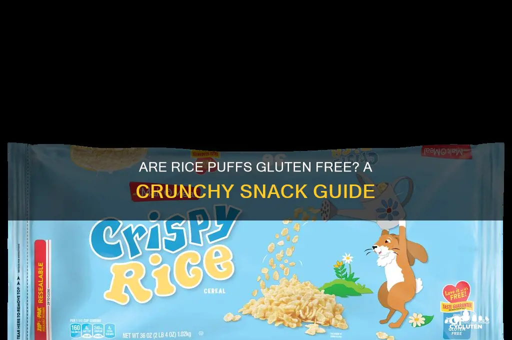 are rice puffs gluten free