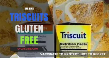 Are Rice Triscuits Gluten-Free? A Clear Answer for Celiacs