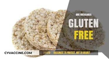 Are Rice Cakes Gluten-Free? A Complete Guide to Safe Snacking