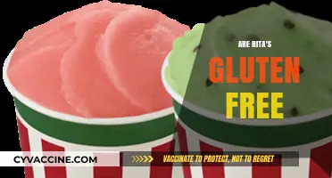 Are Rita's Italian Ice Gluten-Free? A Complete Guide for Celiacs