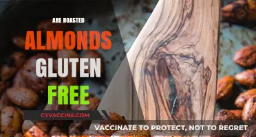 Are Roasted Almonds Gluten-Free? A Nutritional Guide for Celiacs