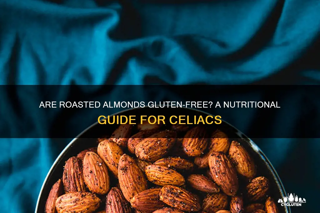 are roasted almonds gluten free