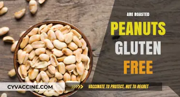 Are Roasted Peanuts Gluten-Free? A Complete Nutritional Guide