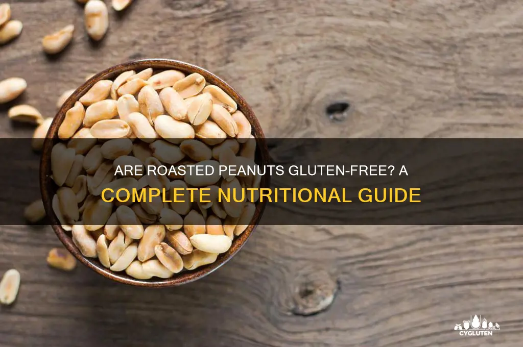are roasted peanuts gluten free
