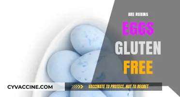 Are Robin's Eggs Gluten-Free? A Surprising Dietary Insight