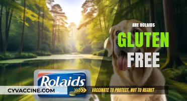 Are Rolaids Gluten-Free? A Complete Guide to Ingredients and Safety