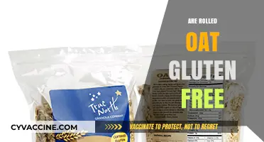 Are Rolled Oats Gluten-Free? Understanding Oats and Celiac Safety