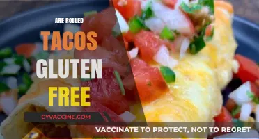 Are Rolled Tacos Gluten-Free? A Complete Guide for Celiac Eaters