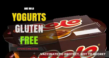 Are Rolo Yogurts Gluten-Free? A Complete Guide for Dietary Needs
