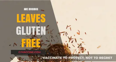 Are Rooibos Leaves Gluten-Free? A Comprehensive Guide for Tea Lovers