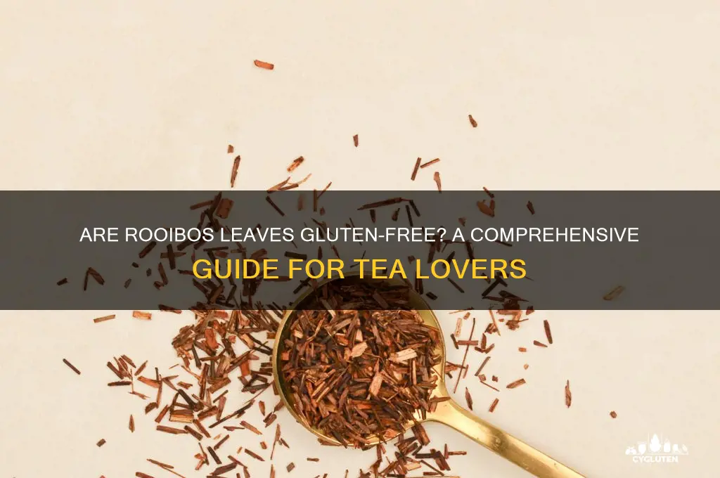 are rooibos leaves gluten free