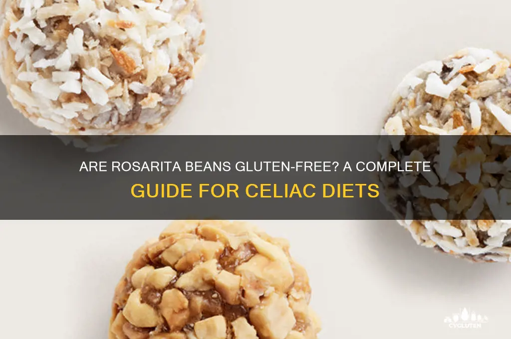 are rosarita beans gluten free