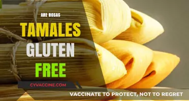 Are Rosas Tamales Gluten Free? A Complete Guide for Celiacs
