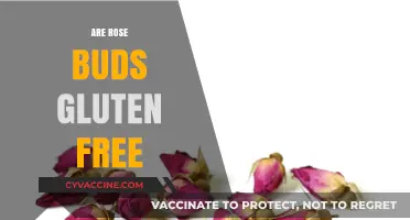 Are Rose Buds Gluten Free? Exploring Edible Petals and Safety