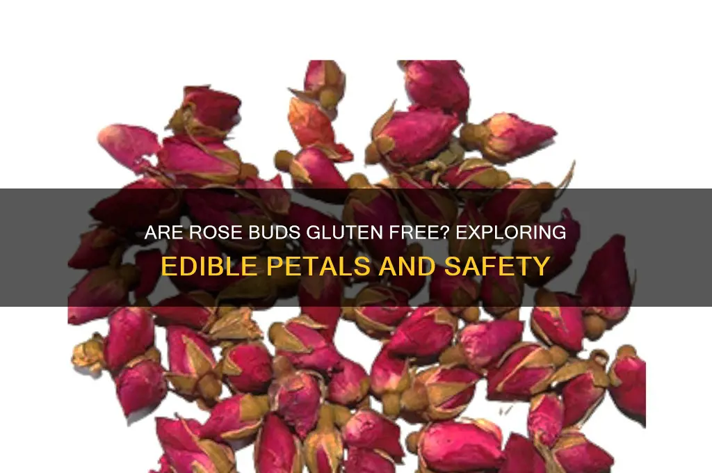 are rose buds gluten free