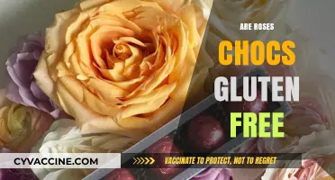 Are Roses Chocolates Gluten-Free? A Sweet Treat Guide