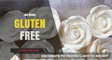 Are Roses Gluten-Free? Exploring Edible Flowers and Dietary Concerns