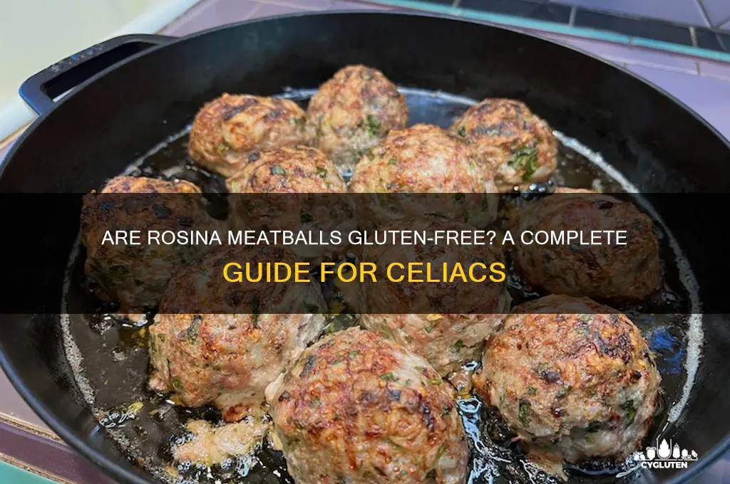are rosina meatballs gluten free