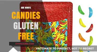 Are Runts Candies Gluten-Free? A Sweet and Safe Snack Guide