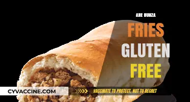 Are Runza Fries Gluten-Free? A Complete Guide for Celiac Diners