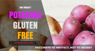 Are Russet Potatoes Gluten-Free? A Complete Guide for Celiacs