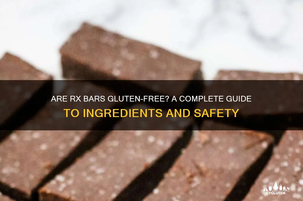are rx bars gluten free