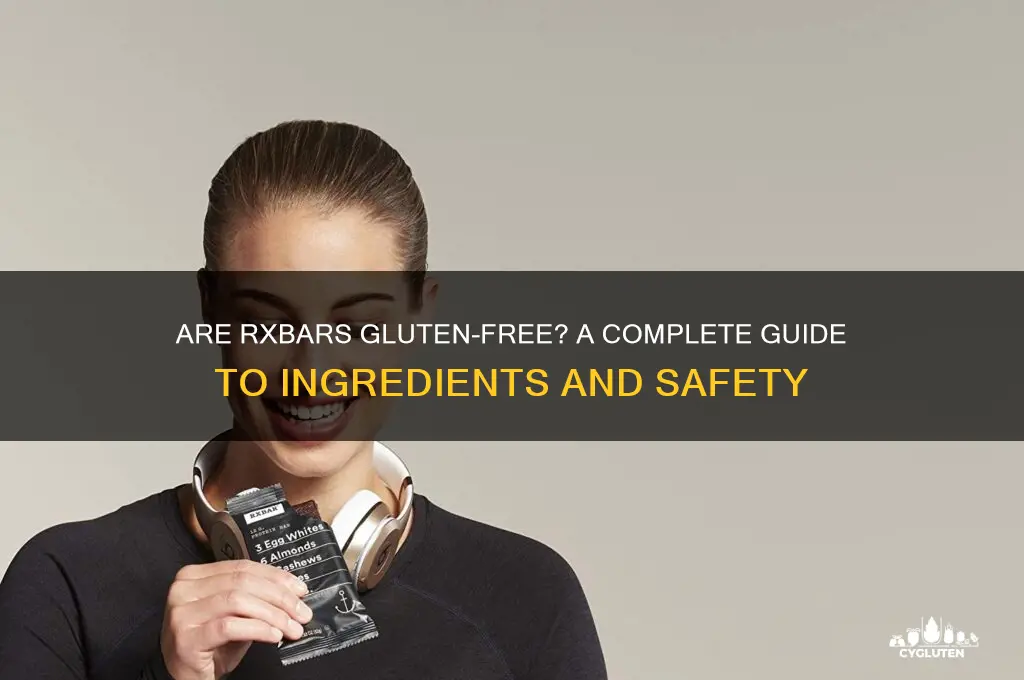 are rxbars gluten free