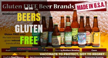 Are Rye Beers Gluten-Free? Exploring the Facts for Beer Lovers
