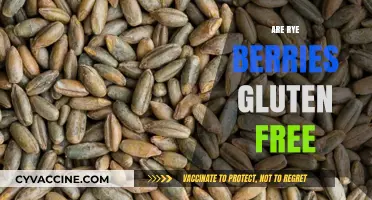 Are Rye Berries Gluten-Free? Unraveling the Truth for Your Diet