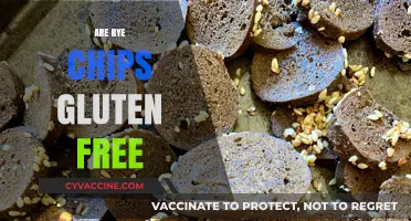 Are Rye Chips Gluten-Free? Unraveling the Truth for Celiac Diets